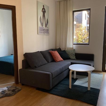 2 Bedroom Apartment Next To Gondola Ski Lift Bansko Dış mekan fotoğraf